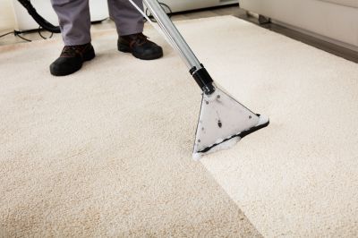 Clean and Fresh Carpet Surfaces
